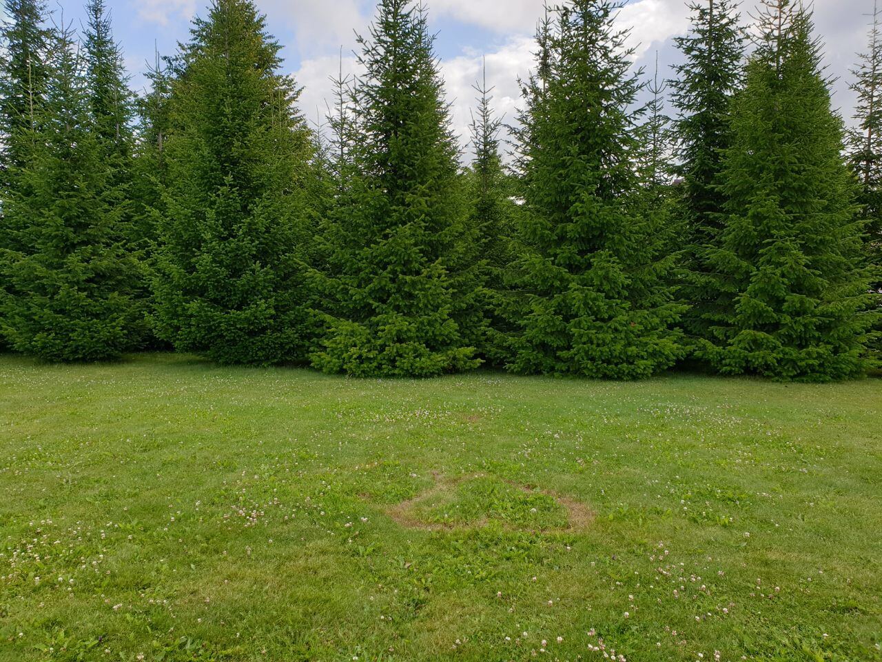 Empty lawn before the ceremony